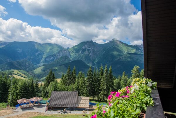 Photo Apartamenty Saska Kępa